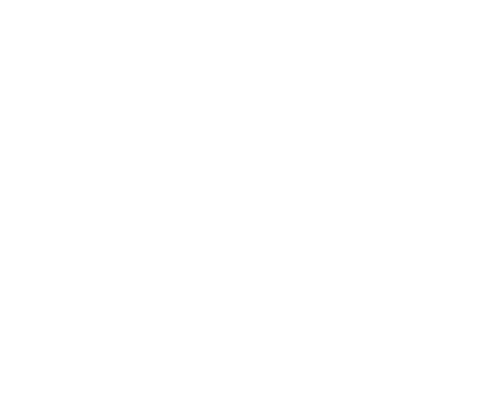 The Ritz-Carlton