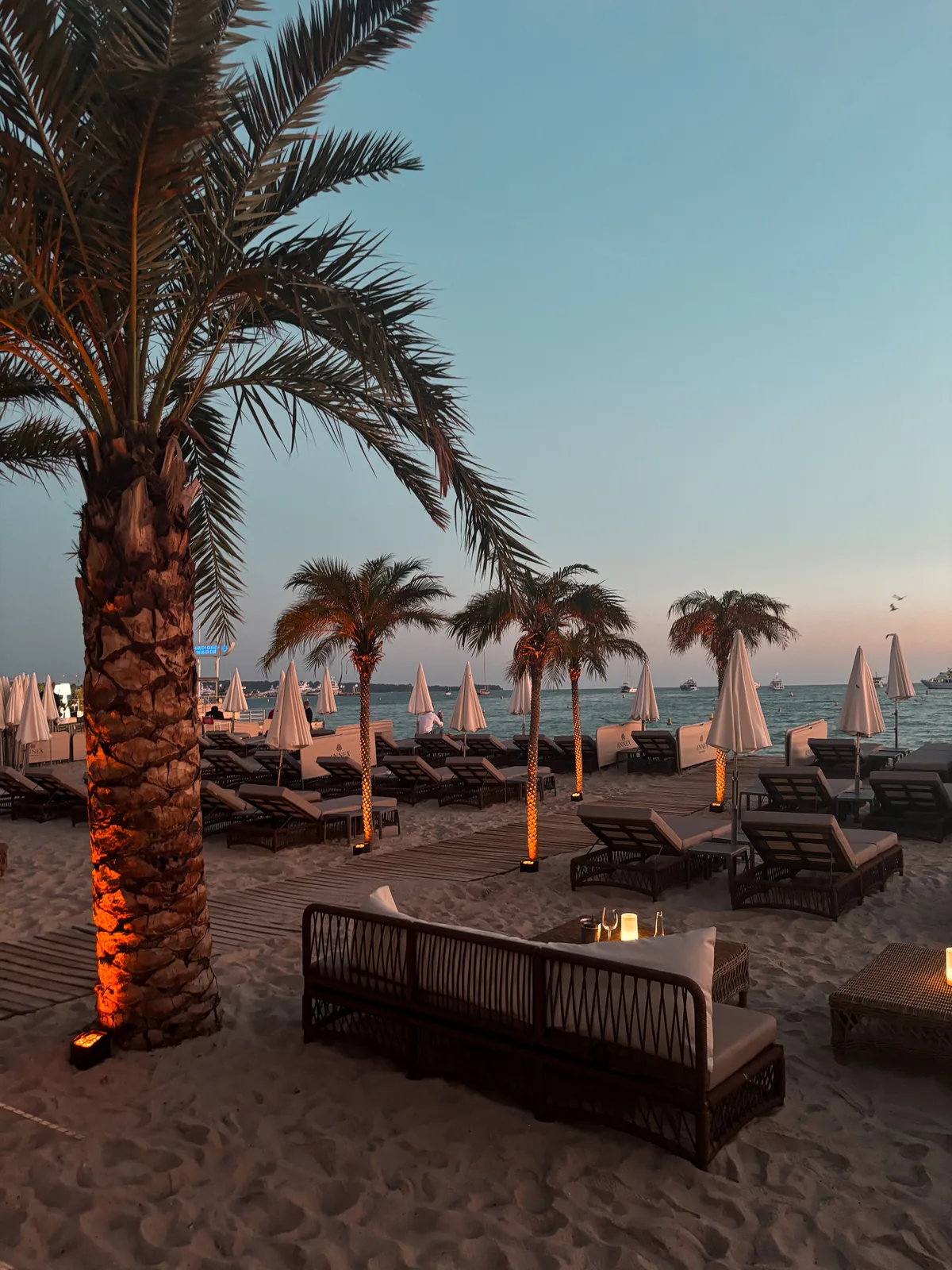 An evening at the Carlton Cannes